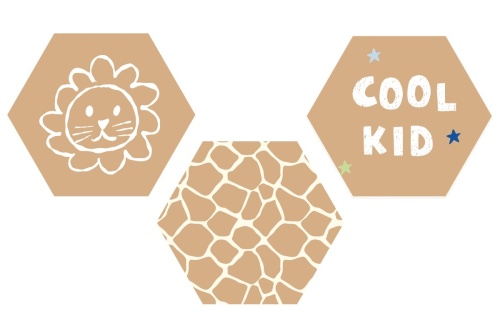 Cool kid set - Hexagon 