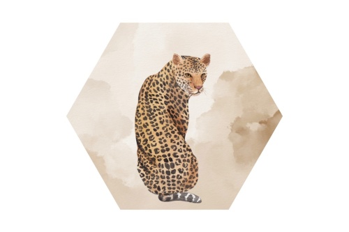 Panter - Hexagon 