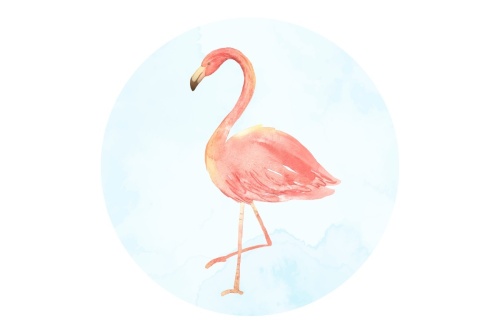 Tropische flamingo - Muurcirkel 