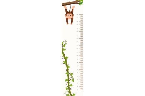 Aapje - Groeimeter