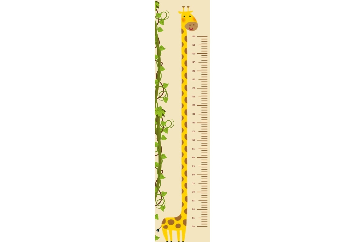 product-image-147