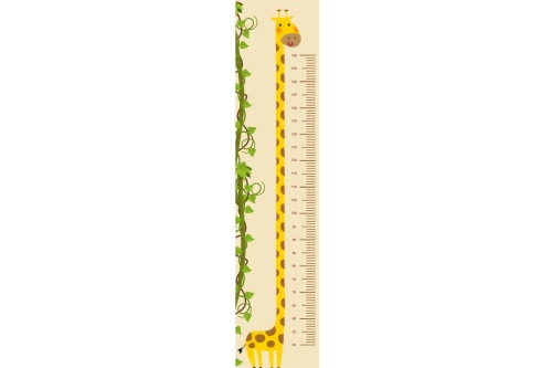Giraf - Groeimeter 
