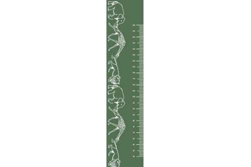 Jungle dieren - Groeimeter