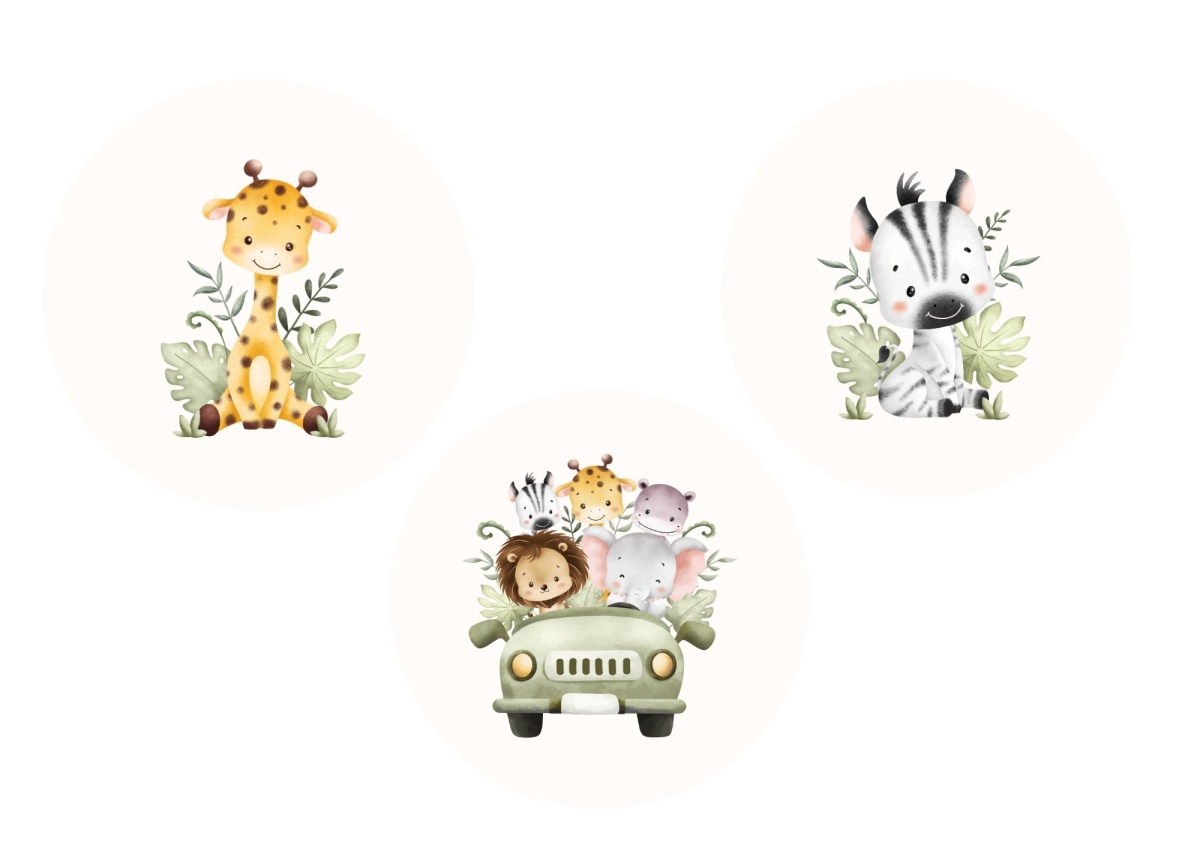 product-image-156