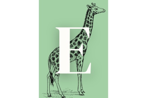 Giraffe letter - Poster 