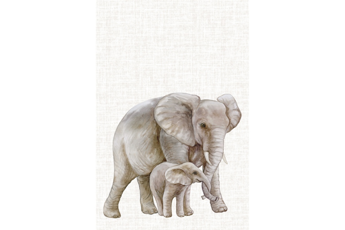 product-image-186