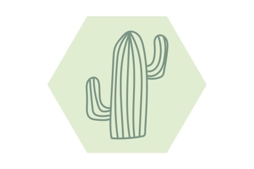 Cactus - Hexagon 