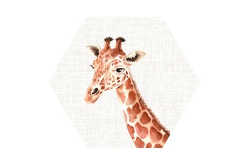 Giraffe - Hexagon